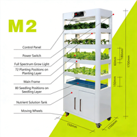 Machine à légumes intelligente et écologique ELITE M2 220W, 152 plantes, irrigation par flux et reflux NFT, acier au carbone, pour la maison et l'intérieur