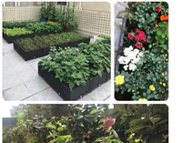 Pot de fleurs décoratif en plastique PP léger et durable, respectueux de l'environnement, pour jardin domestique et potager