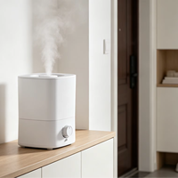 Diffuseur d'aromathérapie à LED en gros, 3-5L, remplissage par le haut, brume réglable, humidificateur à impulsion à brume froide avec bouton, pour bureau et hôtel