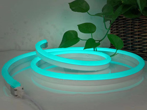 12*20mm Side View DMX512 <strong>Led</strong> <strong>Neon</strong> <strong>Flex</strong> Digital Pixel RGBW <strong>Led</strong> <strong>Neon</strong> Light <strong>Flex</strong> 12V 24V Outdoor Waterproof <strong>Neon</strong> <strong>Flex</strong> - Product Image 3