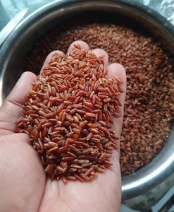 <span class=keywords><strong>Arroz</strong></span> <span class=keywords><strong>Rojo</strong></span> <span class=keywords><strong>Natural</strong></span> de Alta Calidad, <span class=keywords><strong>Arroz</strong></span> <span class=keywords><strong>Rojo</strong></span> 100% Integral, 18 Meses de Caducidad, Orgánico, Marca Thien Van Food - Product Image 2