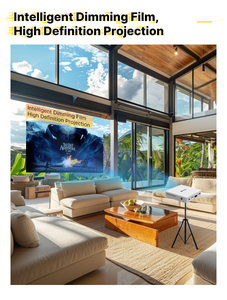 Bán Chạy Nhất Màn Hình Tự Dính Cửa Sổ Di Động Phim <span class=keywords><strong>LED</strong></span> Trong Suốt Có Thể Tháo Rời Màn Hình Chiếu <span class=keywords><strong>LED</strong></span> - Product Image 6