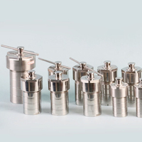 Reaktor Sintesis Hidrotermal Laboratorium Berlapis PTFE 220 Derajat, Autoklaf Baja Tahan Karat 25/50/100/150/200/250/300/500/1000ml