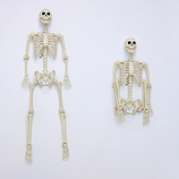 Esqueleto de Halloween de 165 cm (5 pies) Personalizable, Huesos Humanos de Plástico con Articulaciones Móviles para Casas Encantadas, Fiestas y Decoración de Jardines