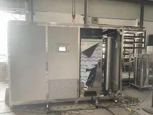Ozonizzatore di trattamento dell'acqua della fabbrica di Jeans con attrezzatura di ozono integrata da 1000 g/h