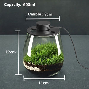 Relaxlines Home <span class=keywords><strong>Eco</strong></span> Tisch-Glasvase Landschaftsflasche Desktop-Glas-<span class=keywords><strong>Terrarium</strong></span>-Box Geometrisches <span class=keywords><strong>Terrarium</strong></span> mit Beleuchtung - Product Image 5