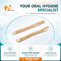 Brosse à dents naturelle en miswak, brosse à dents en Salvadora Persica, brosse de nettoyage dentaire, emballée individuellement