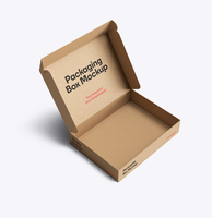 Boîtes d'avion pliables personnalisables en carton ondulé avec doublure en mousse artistique, pelliculage UV/brillant/mat et dorure à chaud. Vêtements 50 pièces
