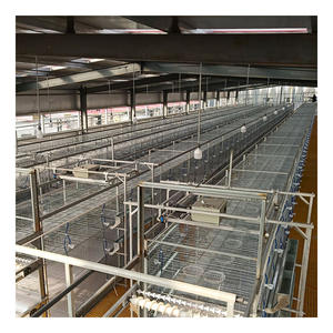 <span class=keywords><strong>Cage</strong></span> d'élevage de pigeons fabriquée en usine avec mangeoire et abreuvoir - Product Image 3