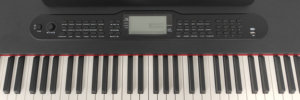 88 Key Weighted Hammer Action Digital Piano with 800 Tones, <b>MIDI</b> & <b>USB</b> Connection for Beginners, Kids and Professional Use - Product Image 3