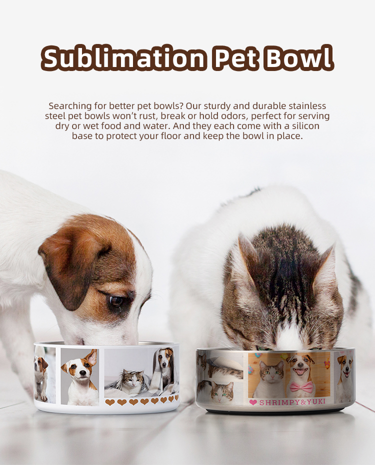 BestSub Custom 42oz 1250ml Sublimation Blanks Stainless Steel Puppy Bowl Dog Food Water Bowls