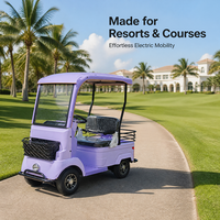 Voiturette de golf électrique personnalisée 800W 72V 2 places avec batterie au lithium, haute vitesse et longue autonomie pour les centres de villégiature