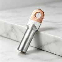Câble de transition cuivre-aluminium avec borne de connexion DTL-16-25-35-50-70-95 mm² Fabriqué à Hebei