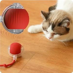 Pelota de Juguete Eléctrica Recargable para Gatos, Pelota Rodante Automática para Mascotas, Alivia el Aburrimiento, Pelota de Peluche para Jugar con Gatos - Product Image 4