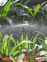 Ensemble de micro-asperseurs rotatifs ronds en plastique 241T avec piquet pour système d'irrigation de serres et vergers, installation facile