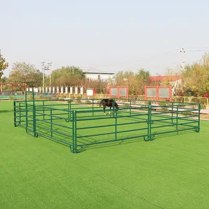 Panneaux de clôture de voyage galvanisés portables et usagés pour chevaux