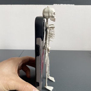 Mini Scheletro in Plastica per Decorazioni <span class=keywords><strong>di</strong></span> <span class=keywords><strong>Halloween</strong></span>, Modello Realistico <span class=keywords><strong>di</strong></span> Teschio <span class=keywords><strong>da</strong></span> 15cm per Appendere, Decorazioni per Feste, Accessori Didattici - Product Image 5