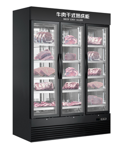 Vente en gros de réfrigérateur de vieillissement à sec de machine d'âge de viande de haute qualité à vendre - Product Image 3