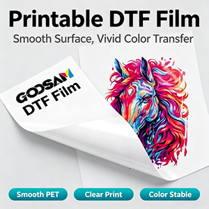 ฟิล์ม PET คุณภาพสูงสำหรับงานพิมพ์แบบ DTF ขนาด A3 A4 A3+ สำหรับเครื่องพิมพ์ Epson ทนความร้อนสูง ขนาด 13x19 นิ้ว - Product Image 1