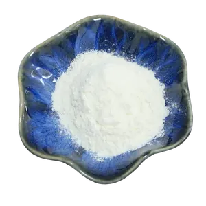 Hot selling Dolomite powder cas 7000-29-5 CaMg(CO3)2