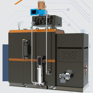 Fabricant de chaudière à vapeur à biomasse en Chine 200Kg 300Kg 220V chaudière à vapeur d'alimentation automatique chaudière à vapeur à <span class=keywords><strong>granulés</strong></span> - Product Image 6