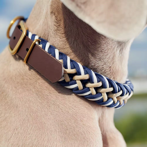 Cinturón ligero grueso, correas de nailon, <span class=keywords><strong>Collar</strong></span> de <span class=keywords><strong>perro</strong></span>, <span class=keywords><strong>collar</strong></span> electrónico de caza para perros grandes, diseñador de <span class=keywords><strong>garrapatas</strong></span> de entrenamiento con correas para gatos, abalorios - Product Image 5
