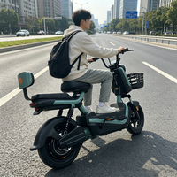 Vélo électrique à cadre en aluminium 48V 350W avec freins à double tambour