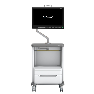 Moniteur médical portable intégré Full HD 22 pouces IKEDA Electric pour endoscope ORL - Product Image 4