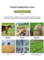Elektronisch hek Smart Host Ranch Anti-wildzwijnfokkerij Koe Schapen Vee Grid Volledige set alarmsysteem