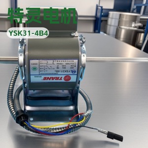 มอเตอร์เครื่องปรับอากาศ Trane รุ่น YSK31-4B4 อะไหล่ระบบส่วนกลาง แหล่งจ่ายไฟฟ้า - Product Image 1