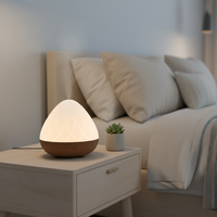 Diffuseur d'huiles essentielles électrique ultrasonique pour aromathérapie, humidificateur d'ambiance pour maison, hôtel, bureau, spa