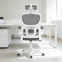 Chaise de bureau ergonomique en maille respirante à prix de gros pour le bureau à domicile avec appui-tête réglable
