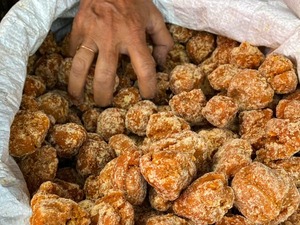 Jaggery de Caña de Azúcar Orgánica de Alta Calidad, Sin Químicos, Endulzante Natural, Marca Privada, OEM, Venta al por Mayor, Exportación, Grace Ferro Exports - Product Image 1