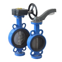 Válvula de mariposa excéntrica doble de PVC Control hidráulico Estructura de bola de alta temperatura Medios de agua Estándar ANSI 3 años