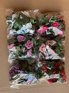 Together Etoile an Lace Banks New Shade Sale Wisteria Thorns Arizona Comte Morning Purple Thunbergia Rose Sensation - Product Image 2