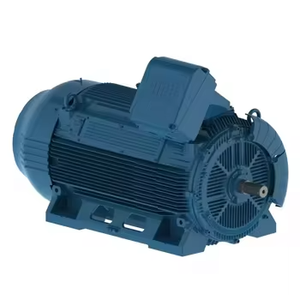 มอเตอร์อุตสาหกรรม AC แบบเสียงเบา WEG ซีรีส์ W50 ความถี่ 50Hz มอเตอร์สามเฟสแรงดันสูง มอเตอร์ AC แบบอะซิงโครนัส W50 รุ่นใหม่ WEG - Product Image 2