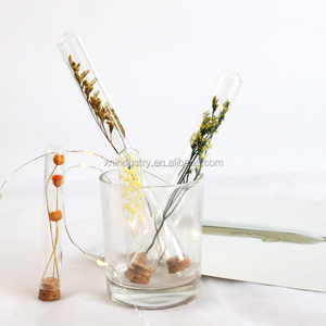 Flores Secas Naturales Delicadas Personalizadas en Tubo, Decoración Novedosa para el Hogar, Regalos para Halloween, Día de la Madre, Bodas, Invitados - Product Image 6