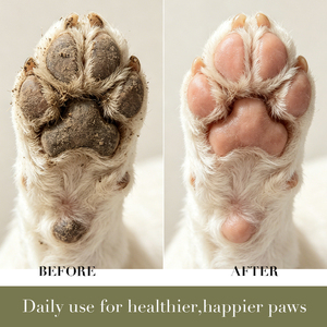 Espuma Limpiadora de Patas para Perros OEM/ODM, Limpieza Profunda Rápida entre los Dedos, Hidrata las Almohadillas Ásperas, Sin Enjuague - Product Image 2