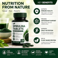 Comprimés de Spiruline 500mg Supplément Super Aliment Vert Antioxydant Soutien Immunitaire Santé Nutritionnelle Fournisseur d'Usine