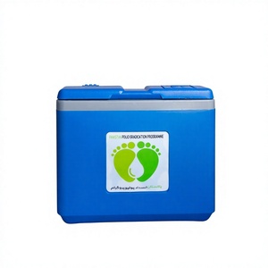 Portable Custom Modern Thermal Insulated <b>Cooler</b> <b>Box</b> 0.9L Reusable PP PE <b>Ice</b> Pack Thermoelectric Refrigeration 10-Day <b>Ice</b> - Product Image 1