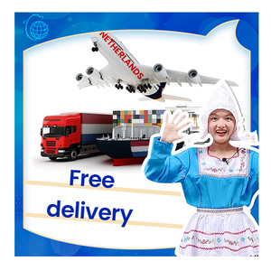 Vận Chuyển Kinh Tế Hà Lan Bằng Tàu Hàng Không Đường Biển Với DDP Từ Trung Quốc Đến Hà Lan Thông Quan Hải Quan - Product Image 2