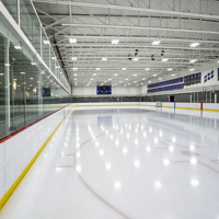 Patinoire synthétique mobile WLT UHMWPE 4x8 sur mesure, tapis de hockey autolubrifiant