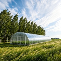Nouvelle technologie de couverture de serre en film plastique transparent de 200 microns pour l'agriculture