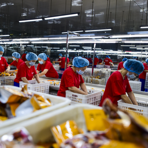 Châtaignes fraîches <span class=keywords><strong>de</strong></span> culture verte naturelle, fournisseur <span class=keywords><strong>de</strong></span> fabricants, <span class=keywords><strong>prix</strong></span> des châtaignes par <span class=keywords><strong>tonne</strong></span>, châtaignes biologiques - Product Image 6