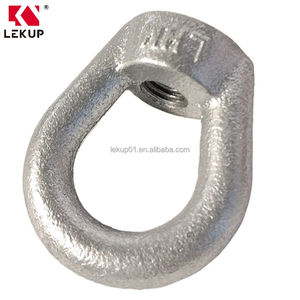 Écrous ovales à œil forgés pour levage, norme DIN, boulonnés, pour des connexions stables dans les machines - Product Image 5