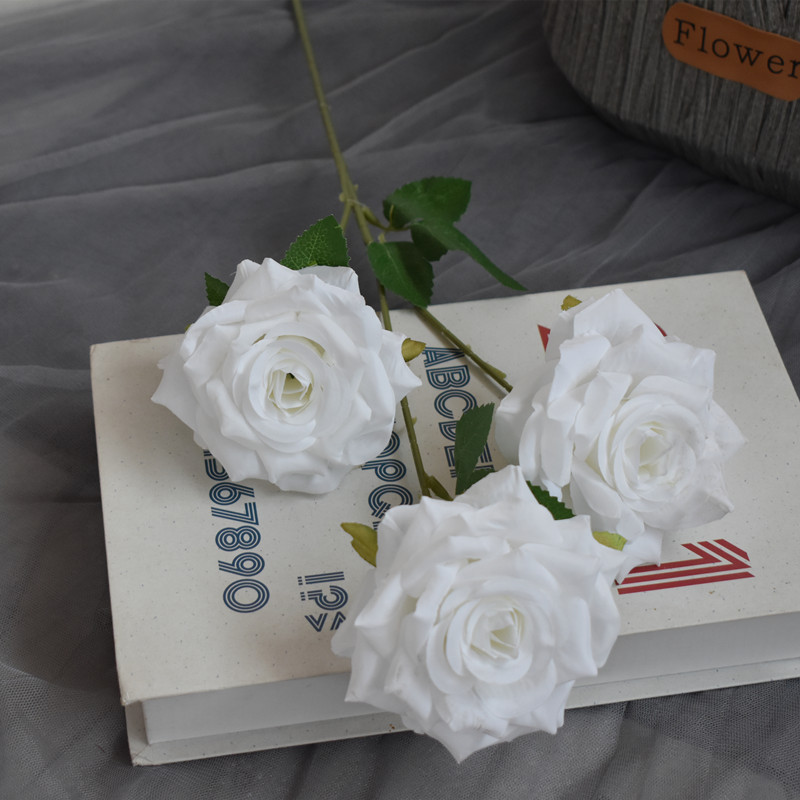 Blanco