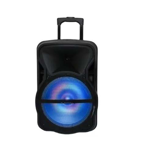 Altavoz portátil inalámbrico con micrófono, Sistema de música para fiesta con batería recargable