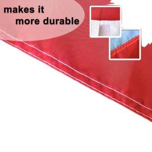 Drapeau corporel extérieur en polyester de haute qualité, personnalisé avec tous les motifs de pays, article promotionnel du fabricant chinois - Product Image 4