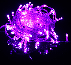 Viola