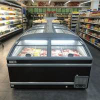Congélateur îlot horizontal à porte coulissante en verre Elite Retail, intégré et prêt à l'emploi, pour la section de réfrigération des grands magasins